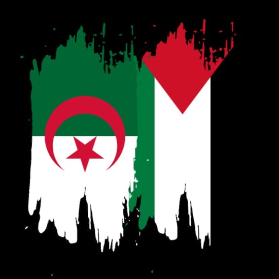 T shirt algerie-palestine